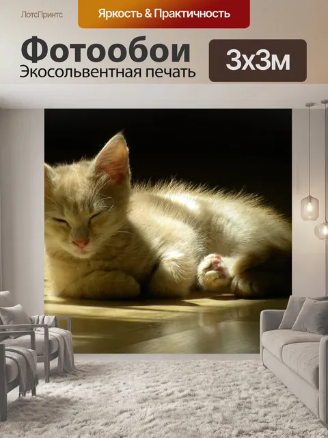 Фотообои Красный кот