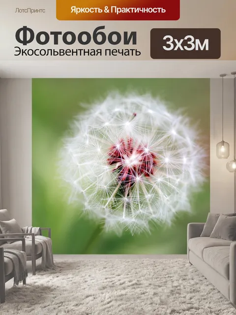 Фотообои Одуванчик