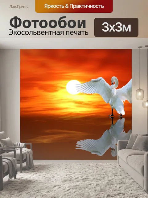 Фотообои Swan Reflection Sunrise