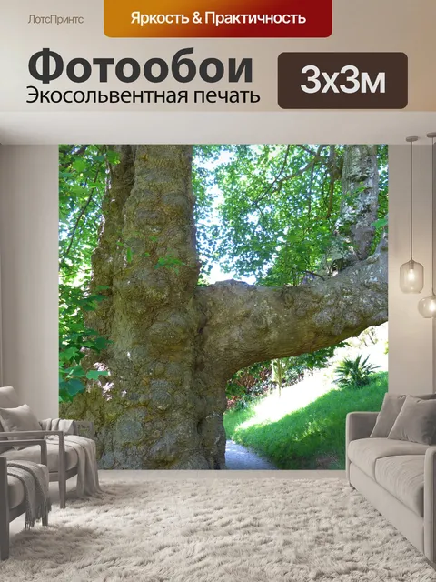 Фотообои Ствол дерева