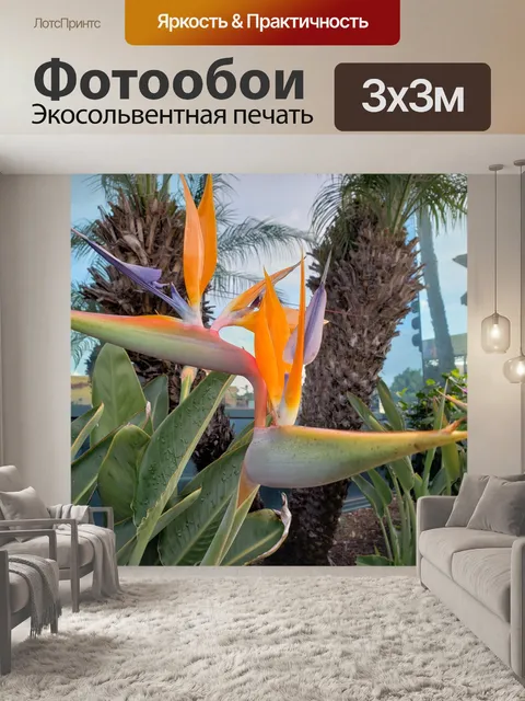 Фотообои Цветы райской птицы
