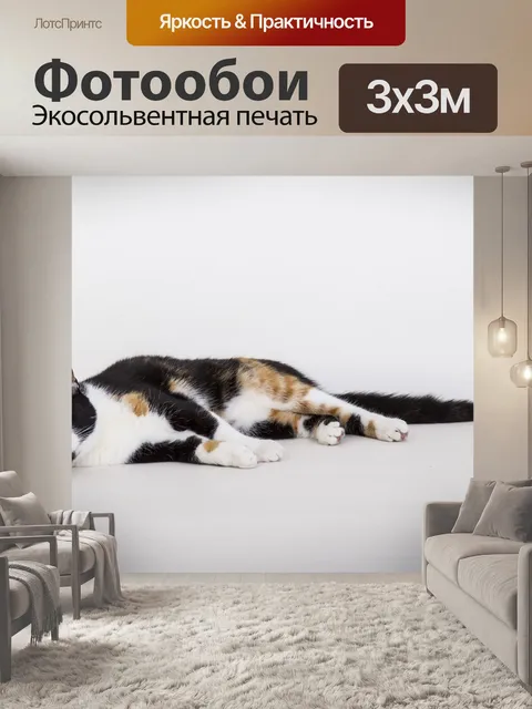 Фотообои Кошки