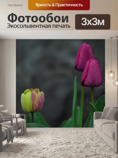 Фотообои Цветы