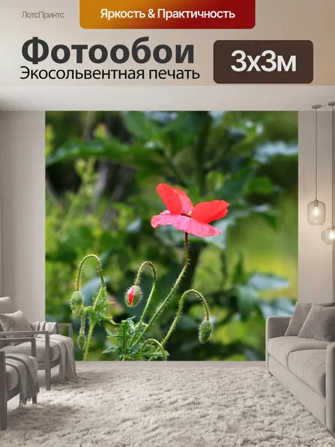 Фотообои Природа