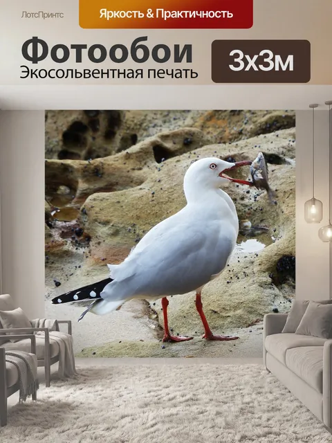 Фотообои Птица