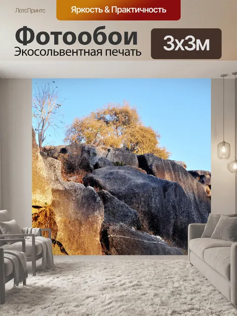 Фотообои Дерево на скалах
