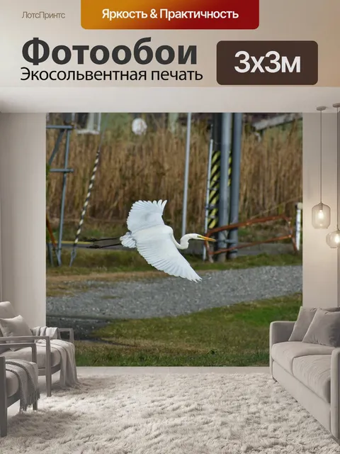 Фотообои Животное
