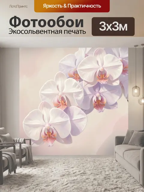 Фотообои Белые орхидеи в нежных тонах