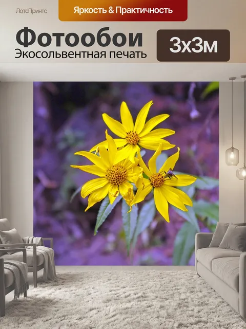 Фотообои Лесной подсолнух