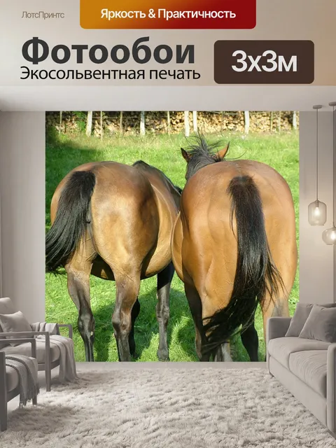 Фотообои Лошади