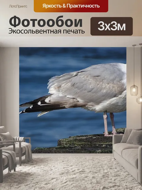 Фотообои Птицы
