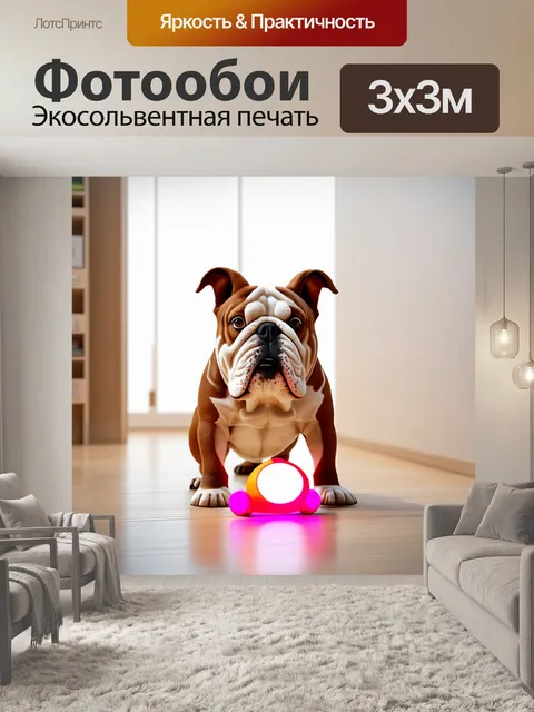 Фотообои бульдог, играющий с яркой игрушкой в современном интерьере, оформленном в стиле минимализма