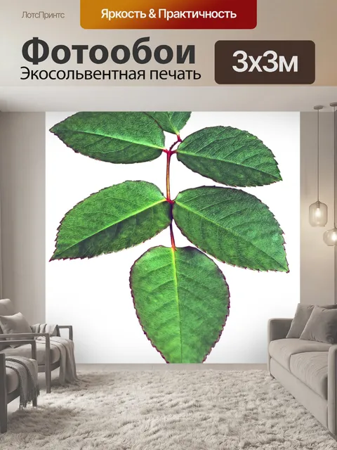 Фотообои Листья