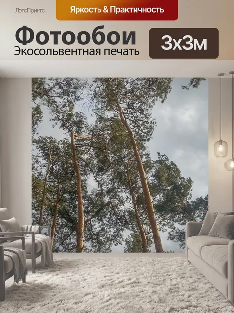 Фотообои Небо