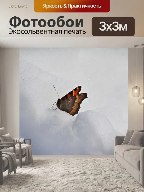 Фотообои Бабочка