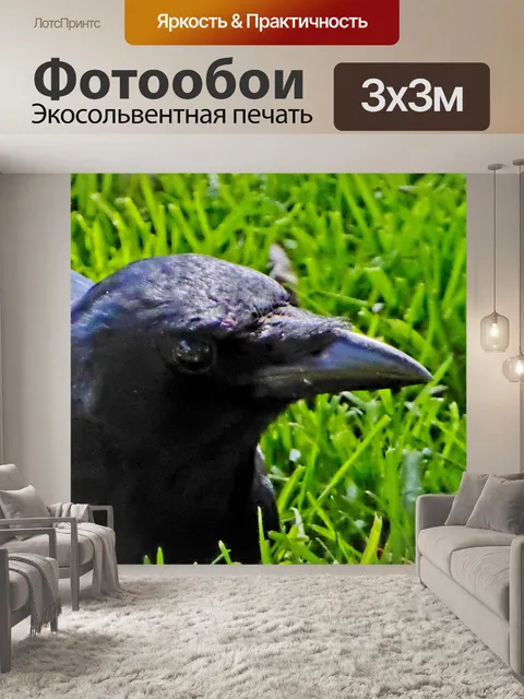 Фотообои Crow Профиль