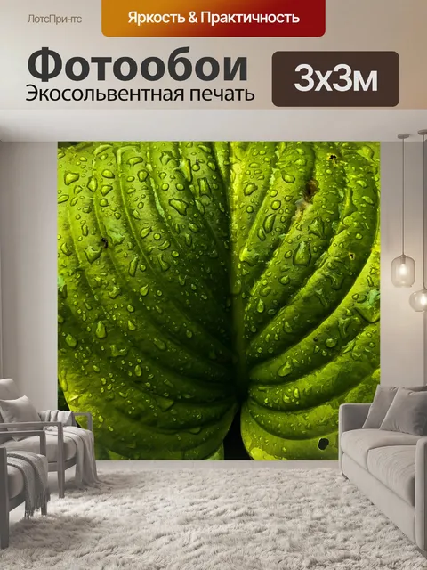 Фотообои Листья