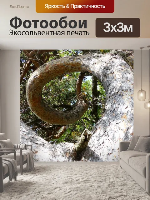 Фотообои Дерево