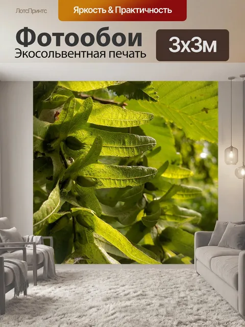 Фотообои Листья
