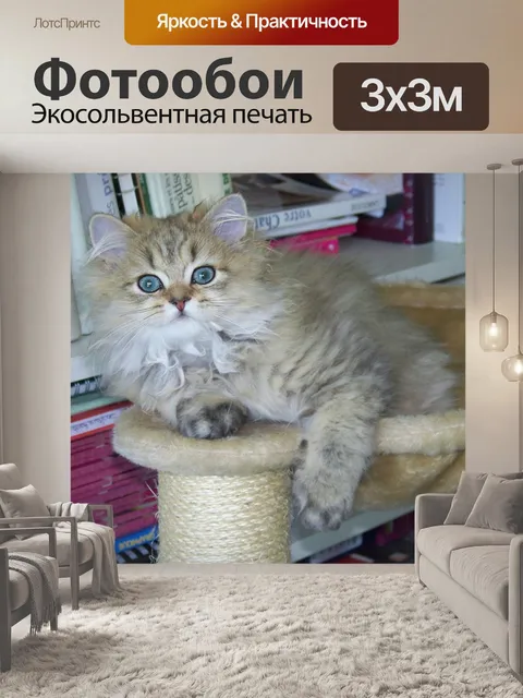 Фотообои Кошка