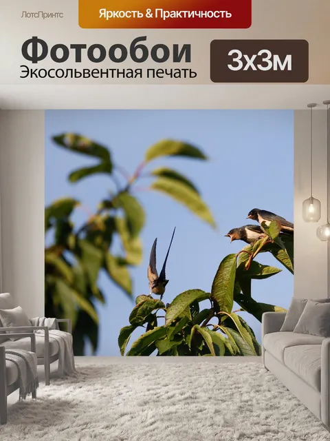 Фотообои Птица
