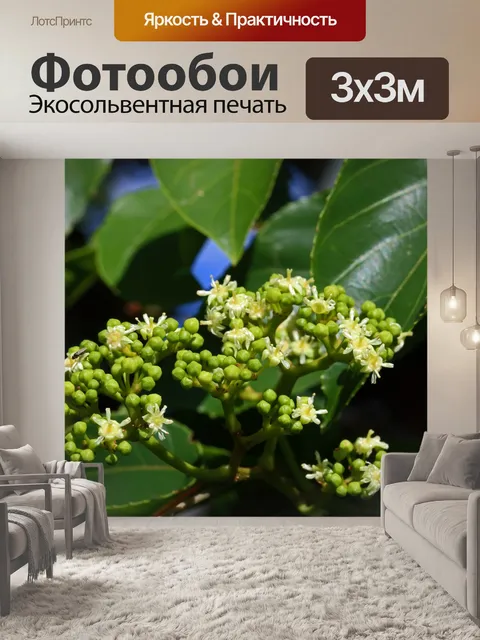 Фотообои цветы и бутоны на японском изюме