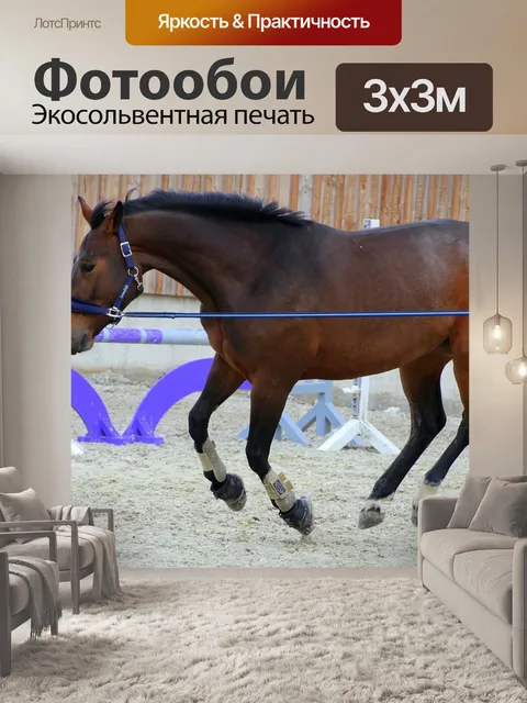Фотообои Лошадь