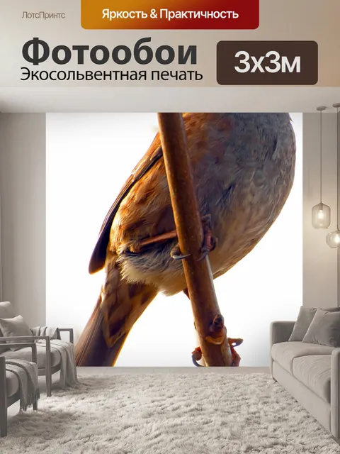 Фотообои Даннок - Прунелла Modularis