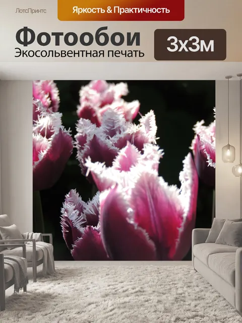 Фотообои Тюльпаны