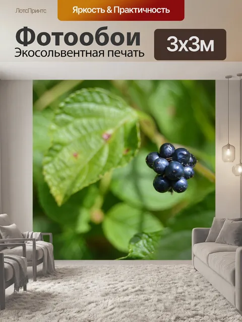 Фотообои Ягода