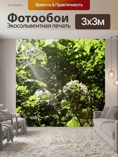 Фотообои Листья
