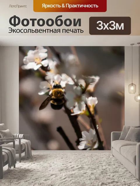 Фотообои Шмель на вишневое дерево