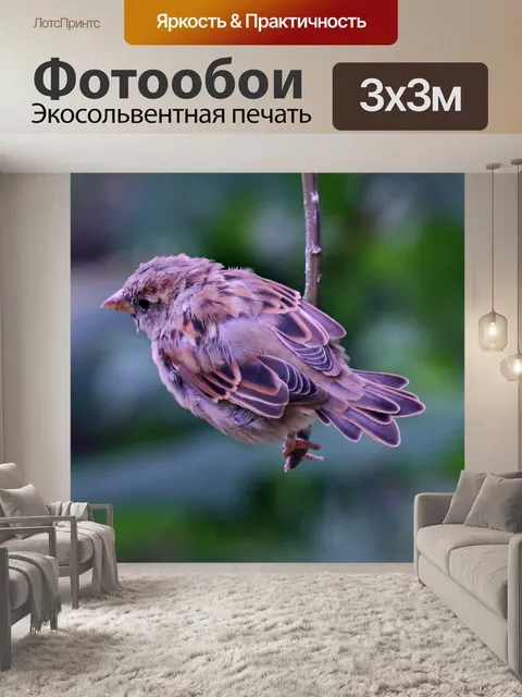 Фотообои Домовой воробей