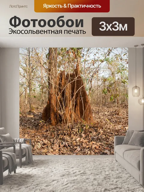 Фотообои Муравейник