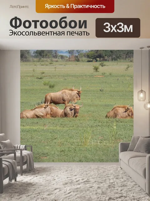 Фотообои Золотая антилопа