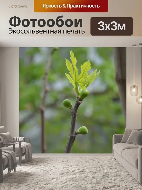 Фотообои Цветы