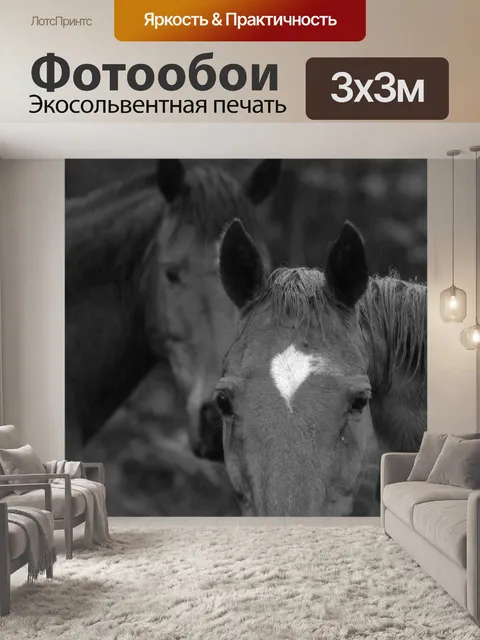 Фотообои Лошади