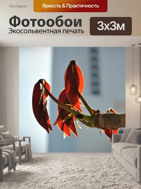 Фотообои Листья
