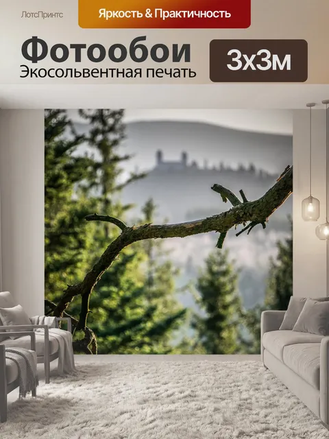 Фотообои Ночевка