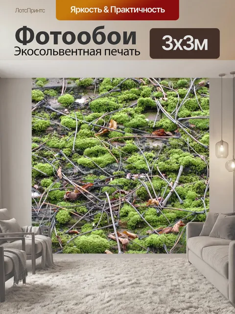 Фотообои Мосс и веток на крыше