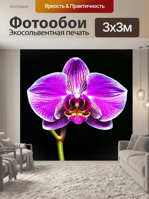 Фотообои орхидея с текстурированными фонами, создающими глубину