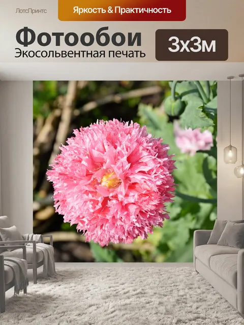 Фотообои Цветы