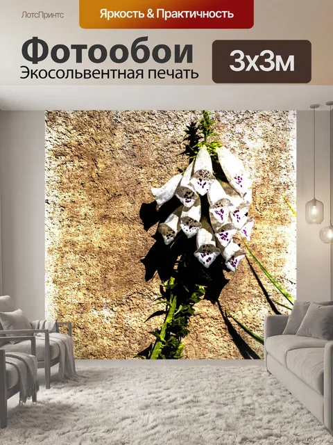 Фотообои Grunge Foxglove