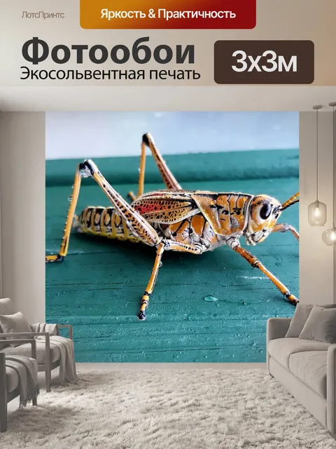 Фотообои Животные