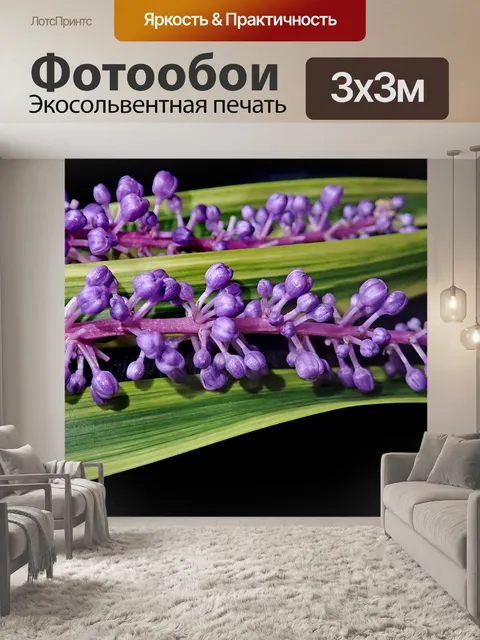 Фотообои Цветы