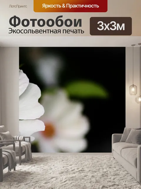 Фотообои Розы