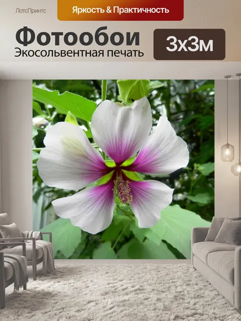 Фотообои Цветок