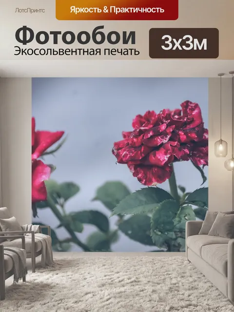 Фотообои Макрос