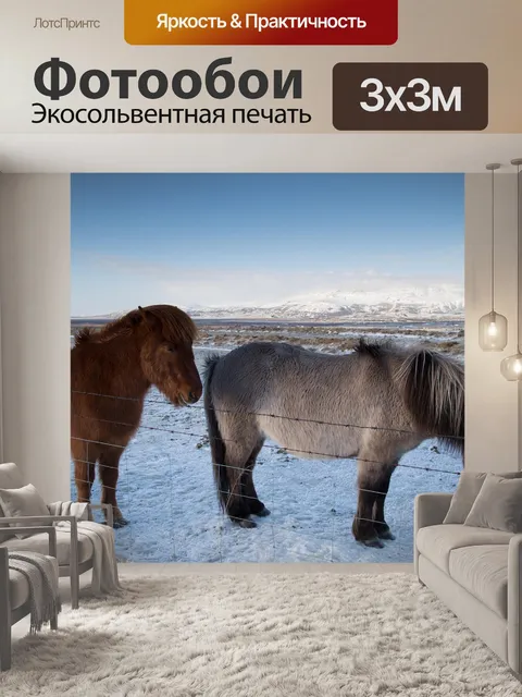 Фотообои Лошади