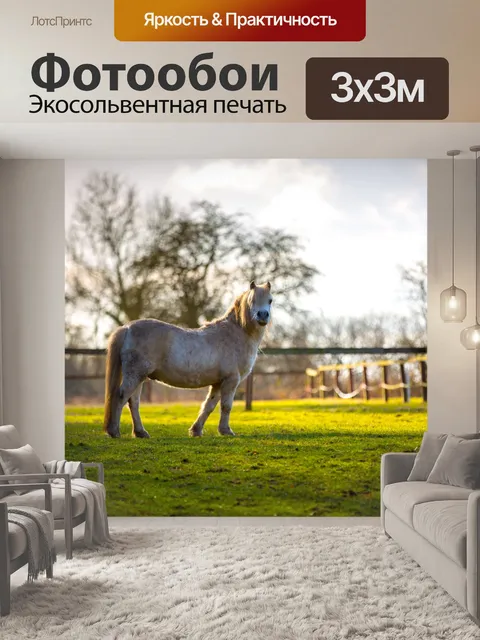Фотообои лошадь